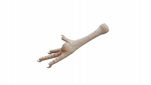 Chicken foot 3D model