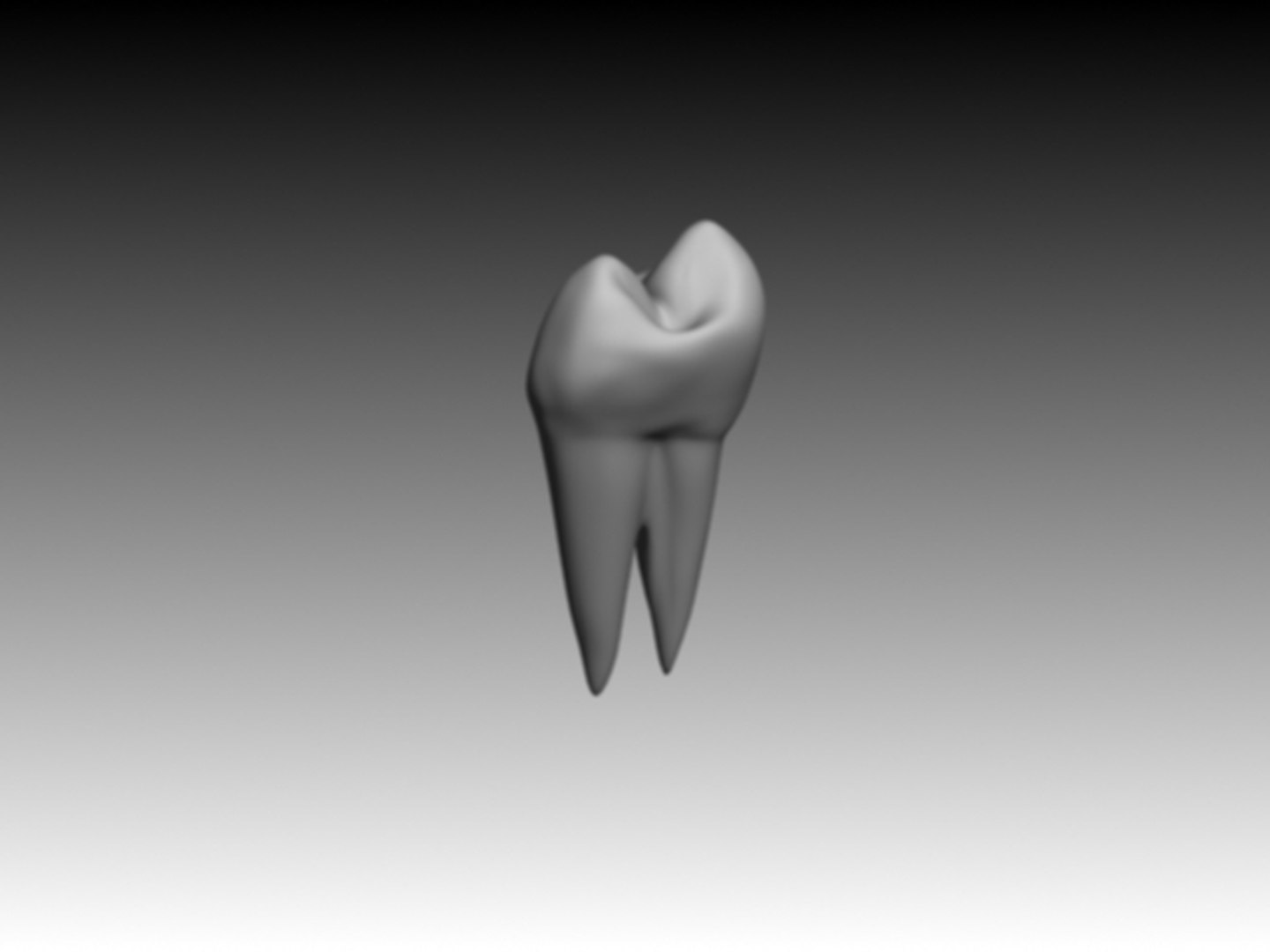 Premolar Maxilar 3ds