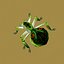 lowpoly bugs