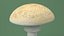Toadstool