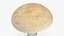 Toadstool