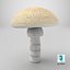 Toadstool