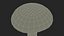 Toadstool