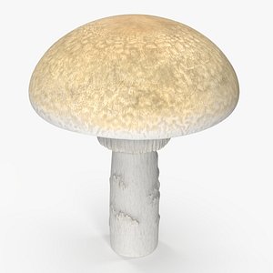 Toadstool 3D model