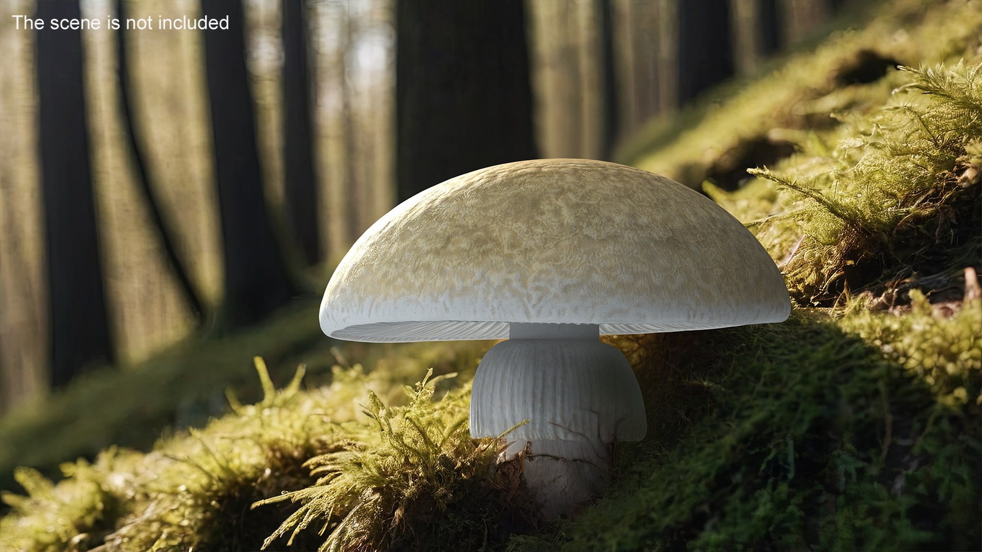 Toadstool 3D model https://p.turbosquid.com/ts-thumb/T2/SD7dNu/lC/toadstool3dsmodel004/jpg/1713154969/1920x1080/fit_q87/b11a4a79583cb4091a07856e7405803a8a53f1b4/toadstool3dsmodel004.jpg