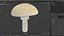 Toadstool