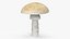 Toadstool