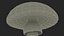 Toadstool