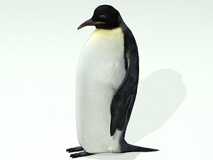 3d penguin model