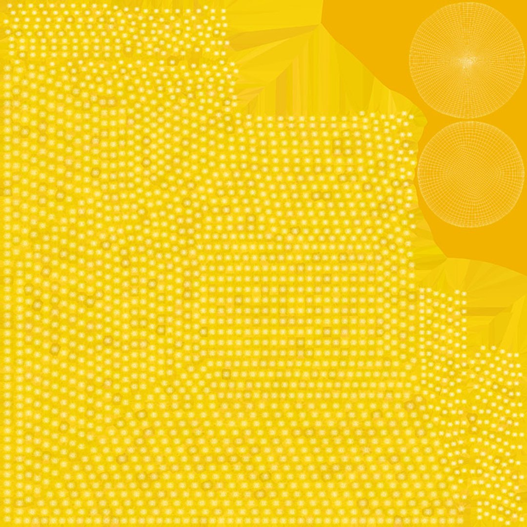 Cooked Yellow Rice 2 model https://p.turbosquid.com/ts-thumb/T2/jivsx0/aY/cookedrice2_d0004/jpg/1731398328/1920x1080/fit_q87/05e91f0c50f45fbe30ddcfab423e5db0d0c83d2e/cookedrice2_d0004.jpg