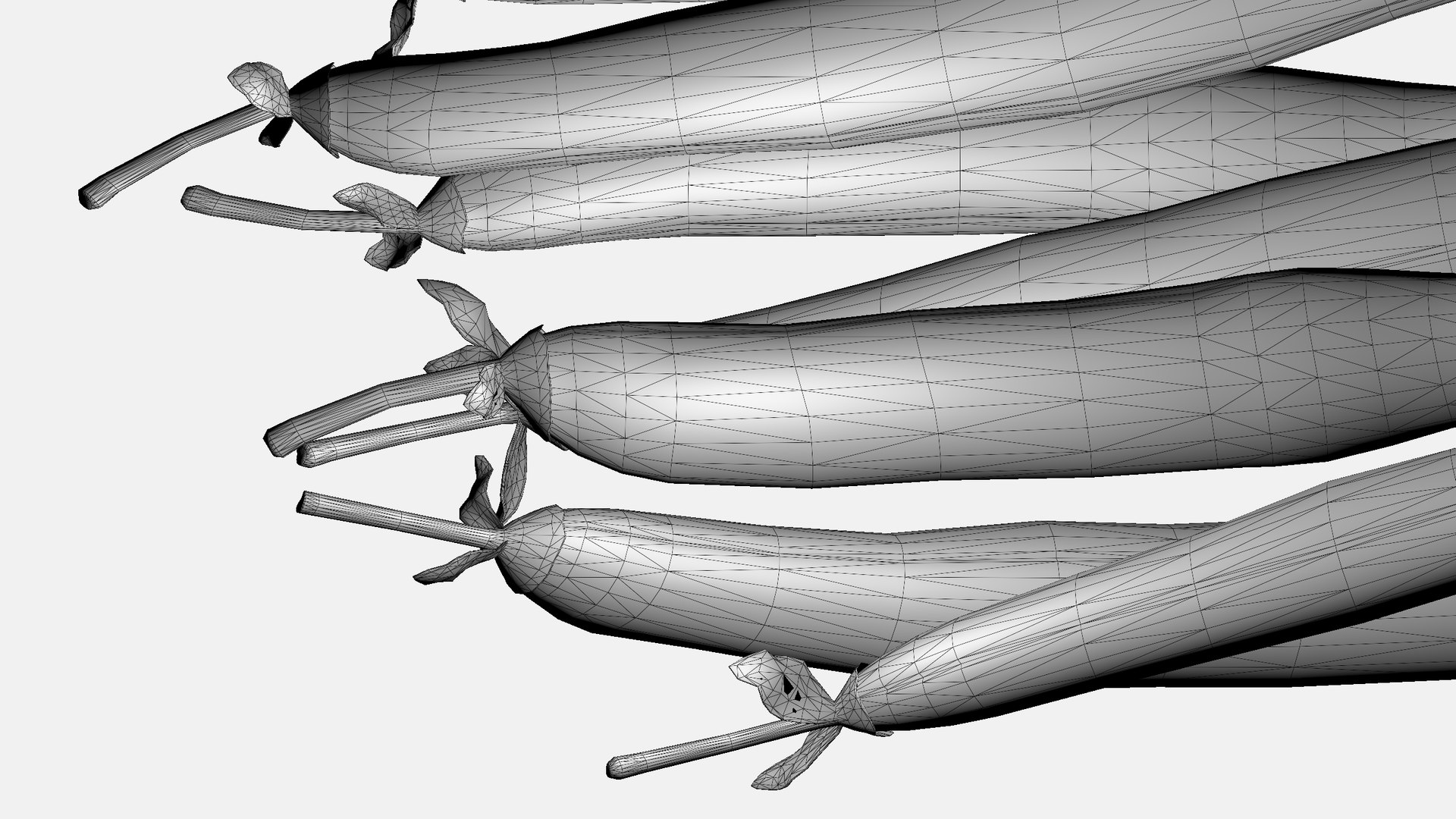 String Beans 3D - TurboSquid 2347694