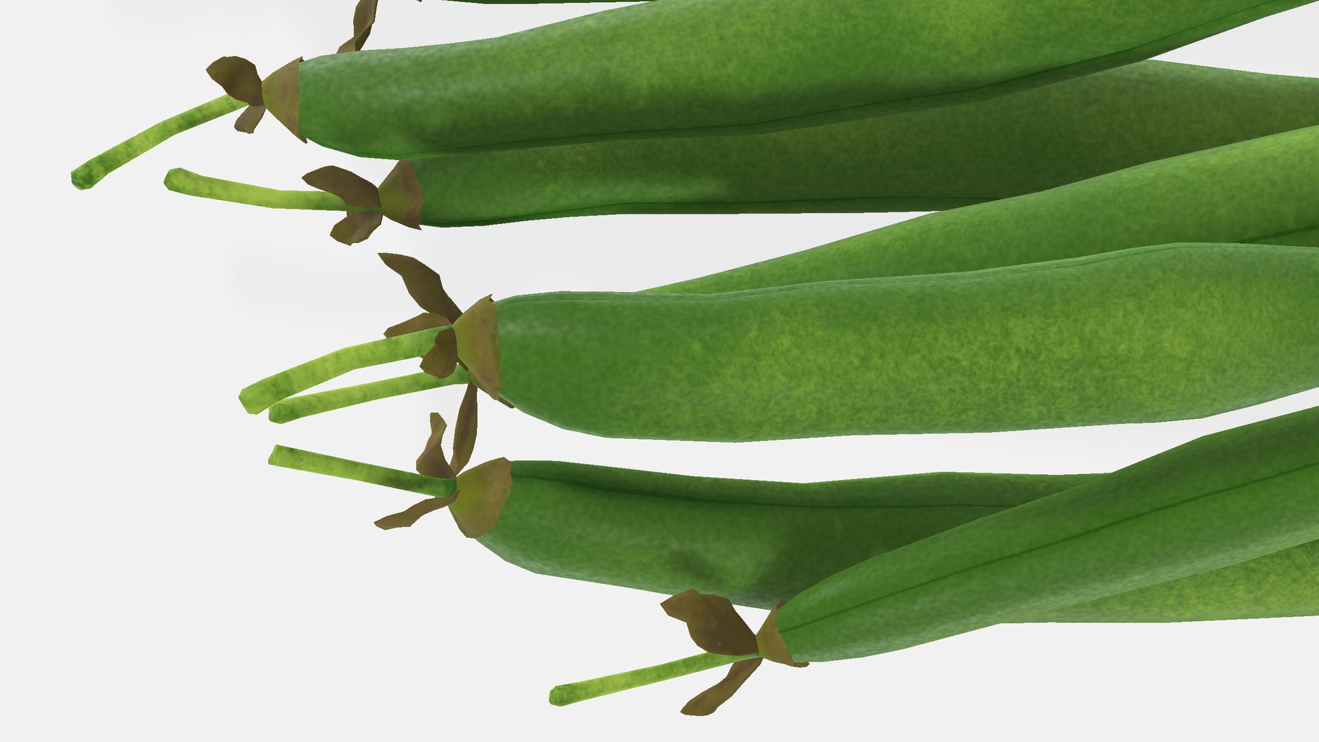 String Beans 3D - TurboSquid 2347694