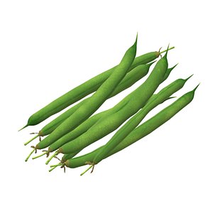 String beans 3D