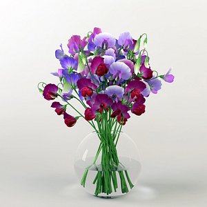 bouquet sweet peas 3d max