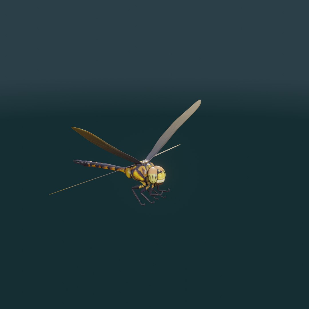 Dragon Fly 3d Model Animated model https://p.turbosquid.com/ts-thumb/T2/uXanh8/6L/a_005/png/1713331342/1920x1080/fit_q87/3ccfd4bcbedd595340321687cc9661135b6dd8d5/a_005.jpg
