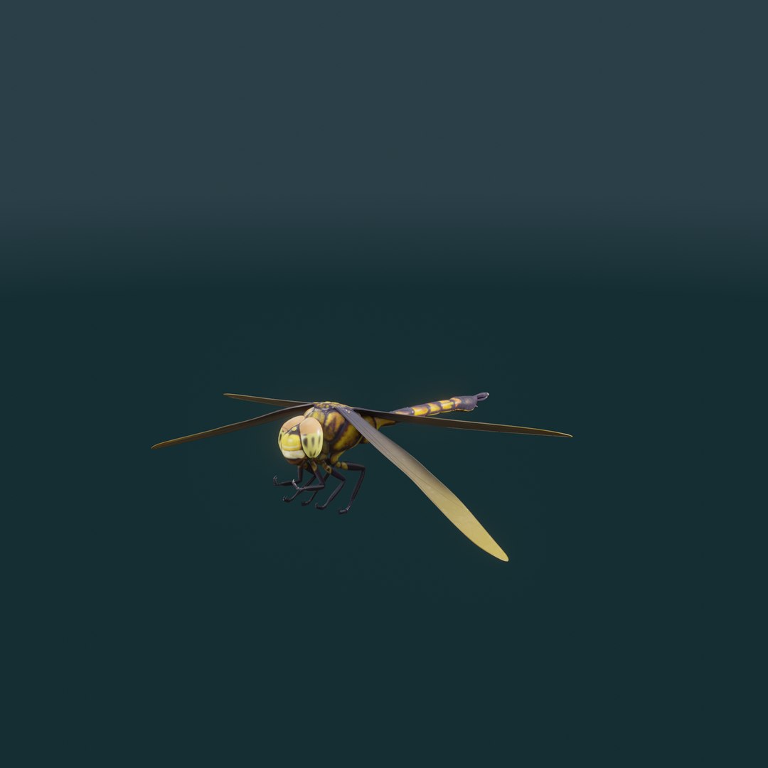 Dragon Fly 3d Model Animated model https://p.turbosquid.com/ts-thumb/T2/uXanh8/RE/a_001/png/1713331270/1920x1080/fit_q87/37cf45b90cf7ba5da467d9bfb2bf1dba146af3f4/a_001.jpg