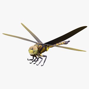 Dragon Fly 3d Model Rigged Animated