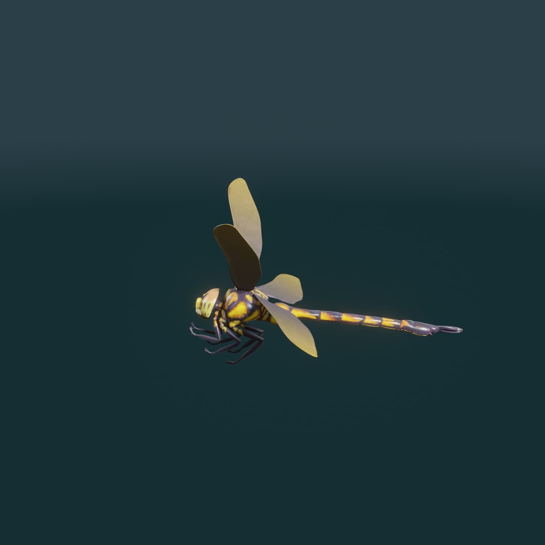 Dragon Fly 3d Model Animated model https://p.turbosquid.com/ts-thumb/T2/uXanh8/te/a_017/png/1713331261/1920x1080/fit_q87/ce0538c6a5f579612ea9baafea2ccbbeac185d99/a_017.jpg
