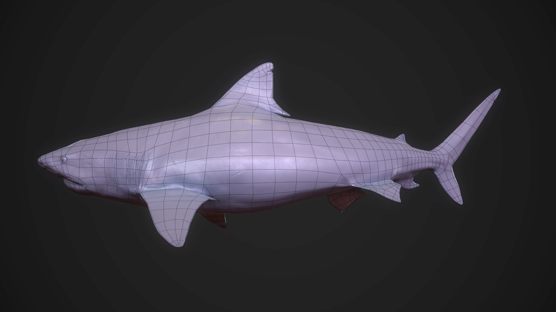 3D Tiger Shark - Game Ready https://p.turbosquid.com/ts-thumb/T3/7gxbZW/KO/007/jpg/1624868409/1920x1080/fit_q87/364fc89573b395fe7a64e915a7dd02c580c46945/007.jpg