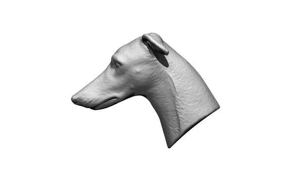 3D Dog 7 model