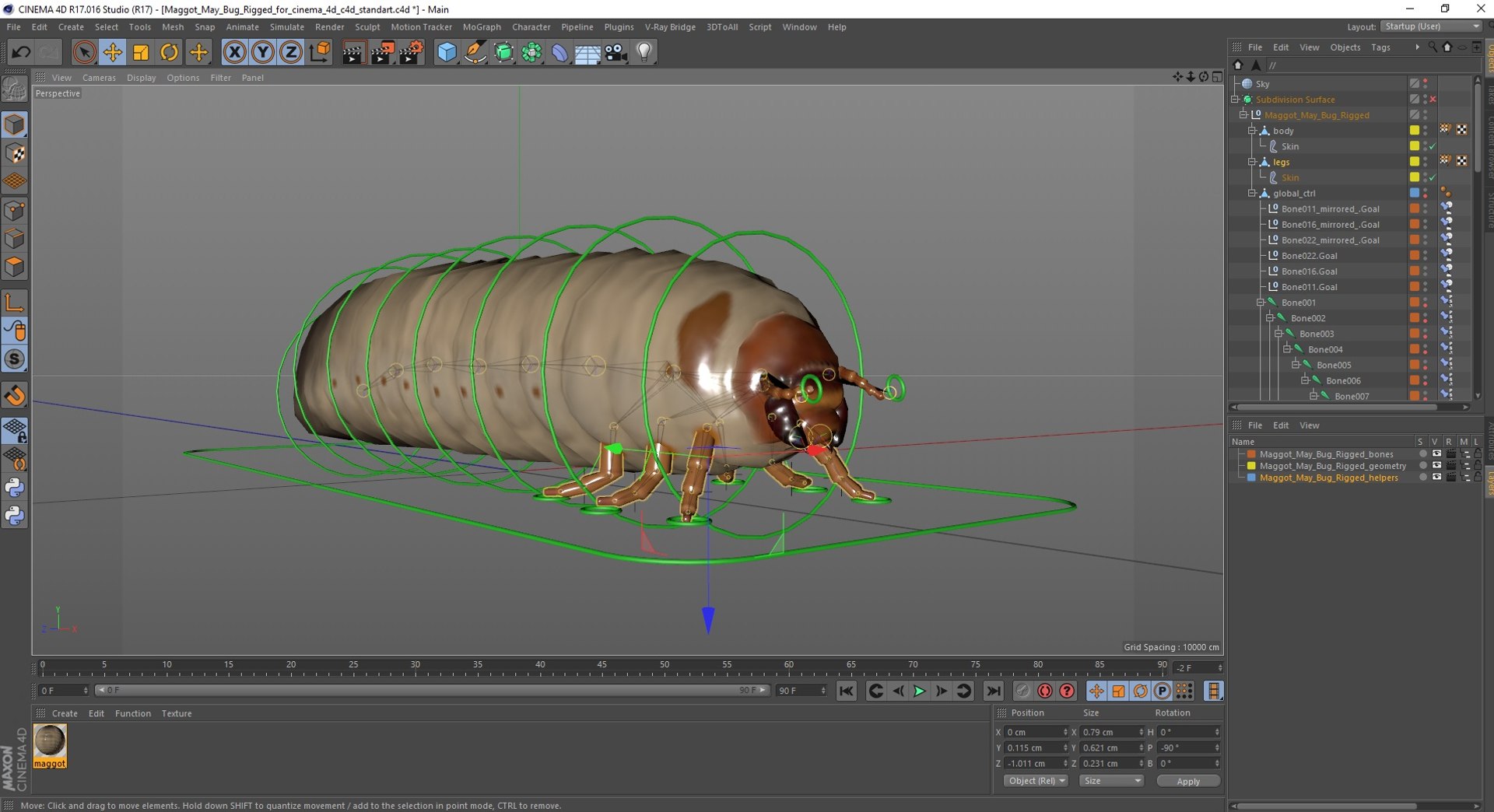 3D Maggot May Bug Rigged For Cinema 4D - TurboSquid 2180203