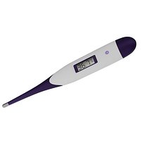 Digital Thermometer