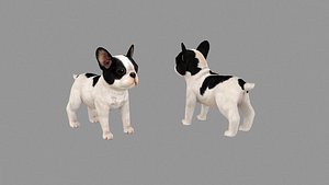3D Cartoon pet puppy - French Bull Dog - baby dog model