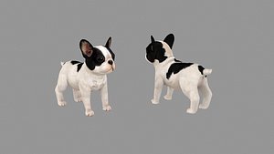Cartoon pet puppy - French Bull Dog - baby dog
