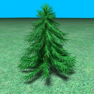 small_pine01