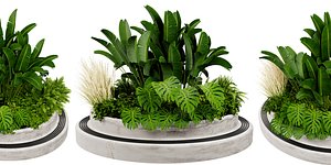 Collection plant vol 544 - blender model 3D model