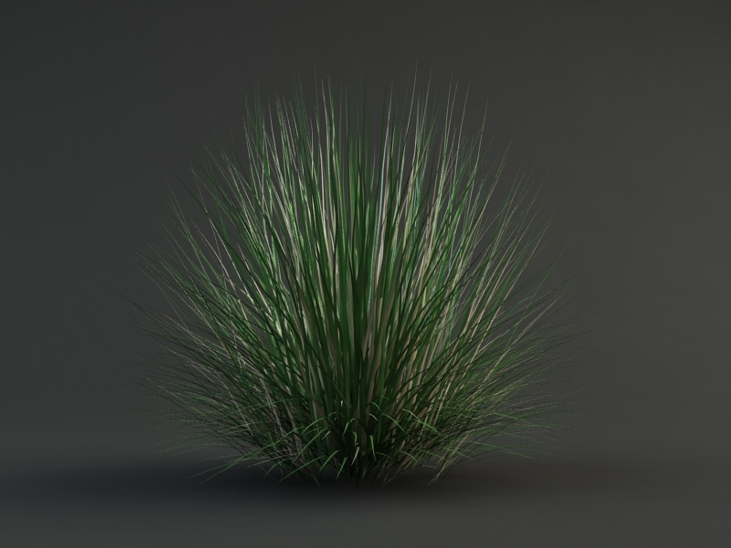 3d max bluegrass grass https://p.turbosquid.com/ts-thumb/T4/X5jrVs/0u0IUt22/poa_2/jpg/1309890116/1920x1080/fit_q87/f13d8d076beb7e70efb1bc6813956b41a61eb475/poa_2.jpg