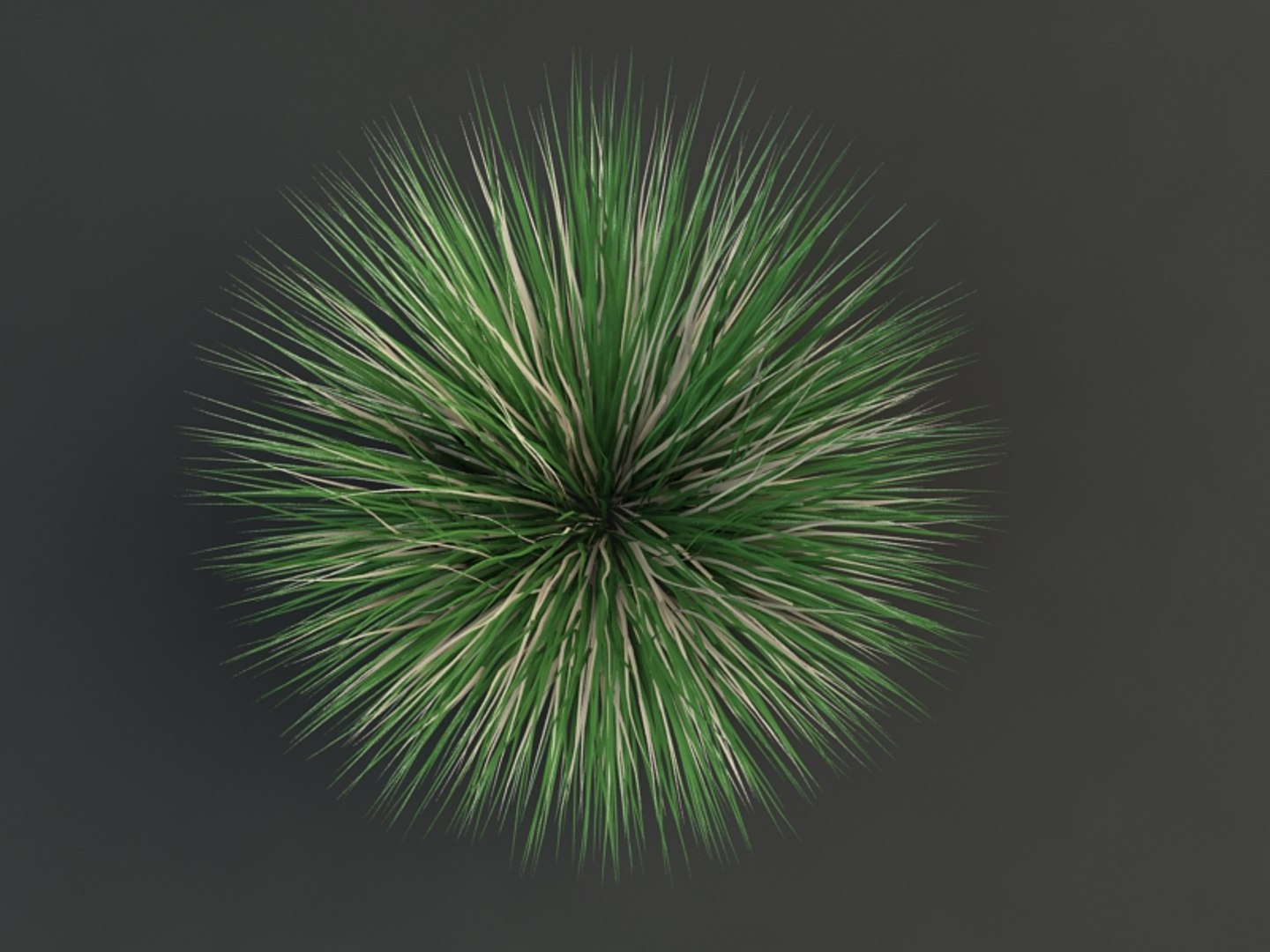 3d max bluegrass grass https://p.turbosquid.com/ts-thumb/T4/X5jrVs/3YQiHnnW/poa_3/jpg/1309890116/1920x1080/fit_q87/7604038484317800fc3f41bee2a9f28dd8aae209/poa_3.jpg