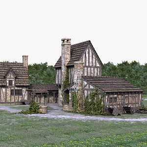 3D medieval town village