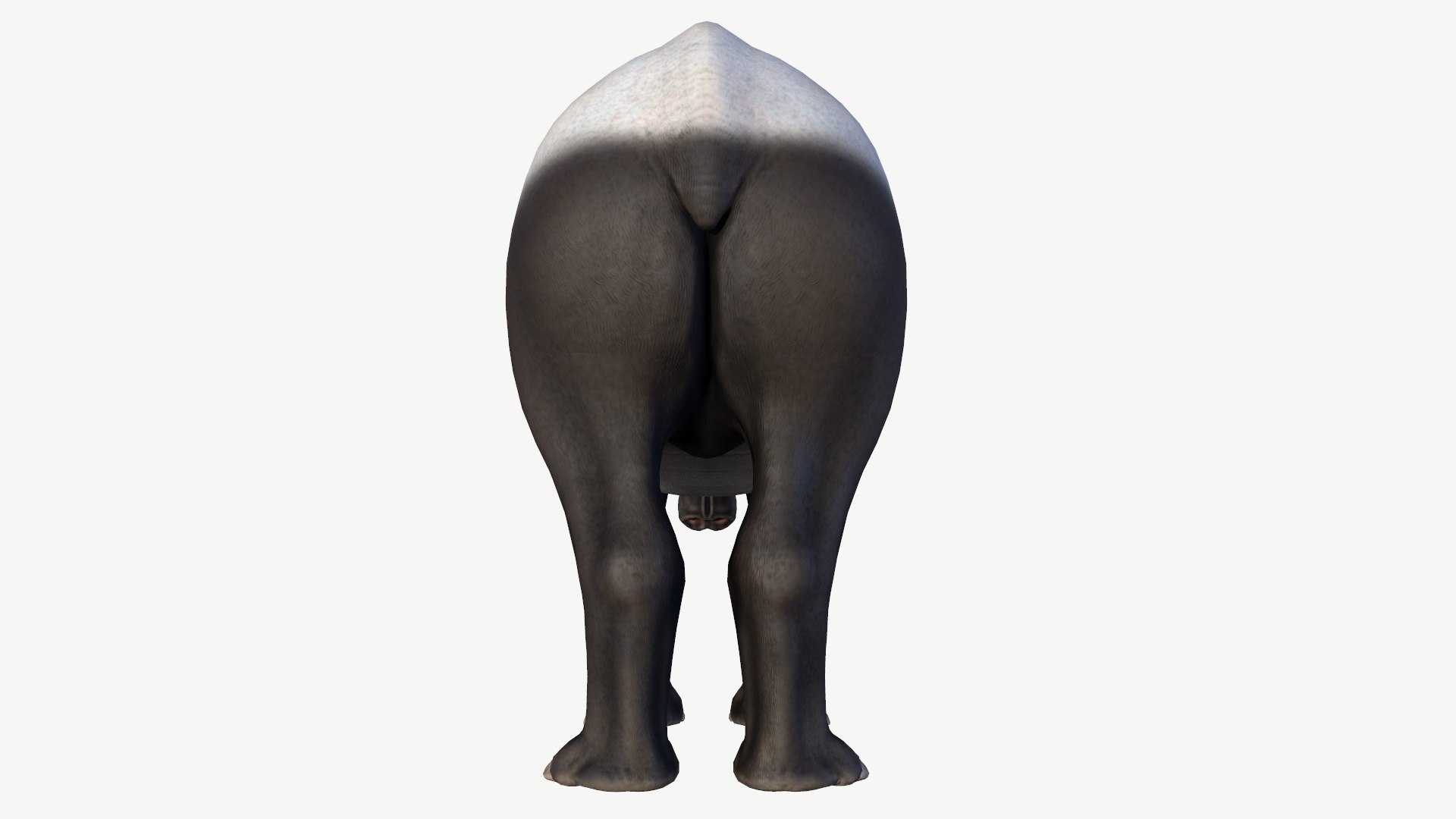 Malayan Tapir model https://p.turbosquid.com/ts-thumb/T4/mjh3vq/3S/4/jpg/1728352516/1920x1080/fit_q87/9d0687a742ef9d9ecfb023249cffd35dbb91714f/4.jpg