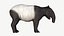 Tapir malayo