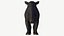 Tapir malayo
