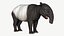 Tapir malayo