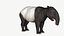 Tapir malayo