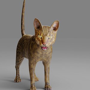 3D Cat Grey Rigged