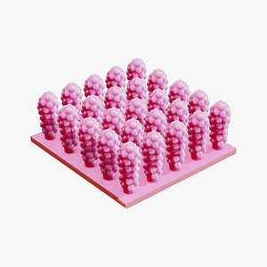 The Large Intestine Villi 3D model