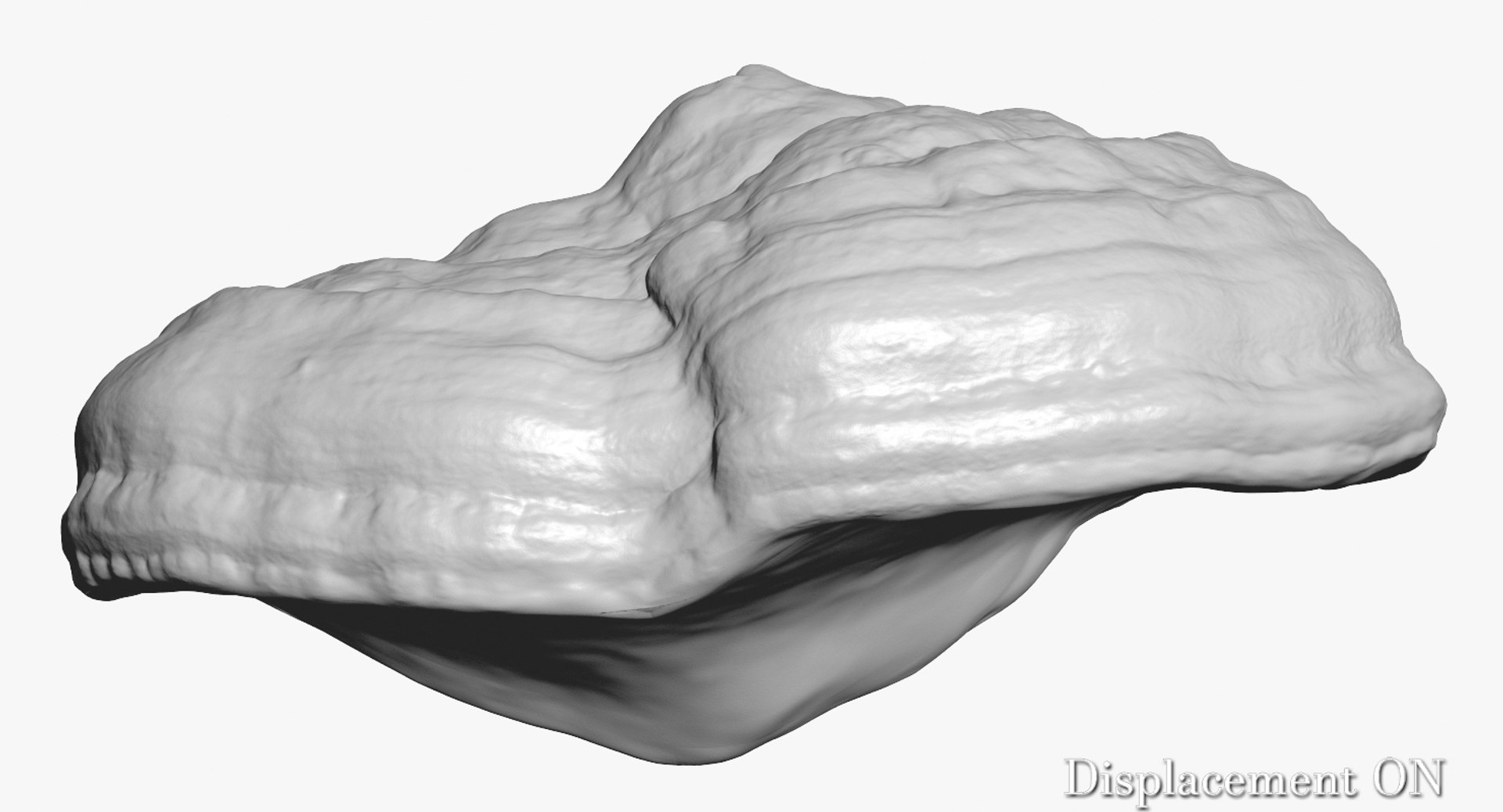 3ds mushroom polypore