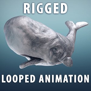 White Sperm whale moby