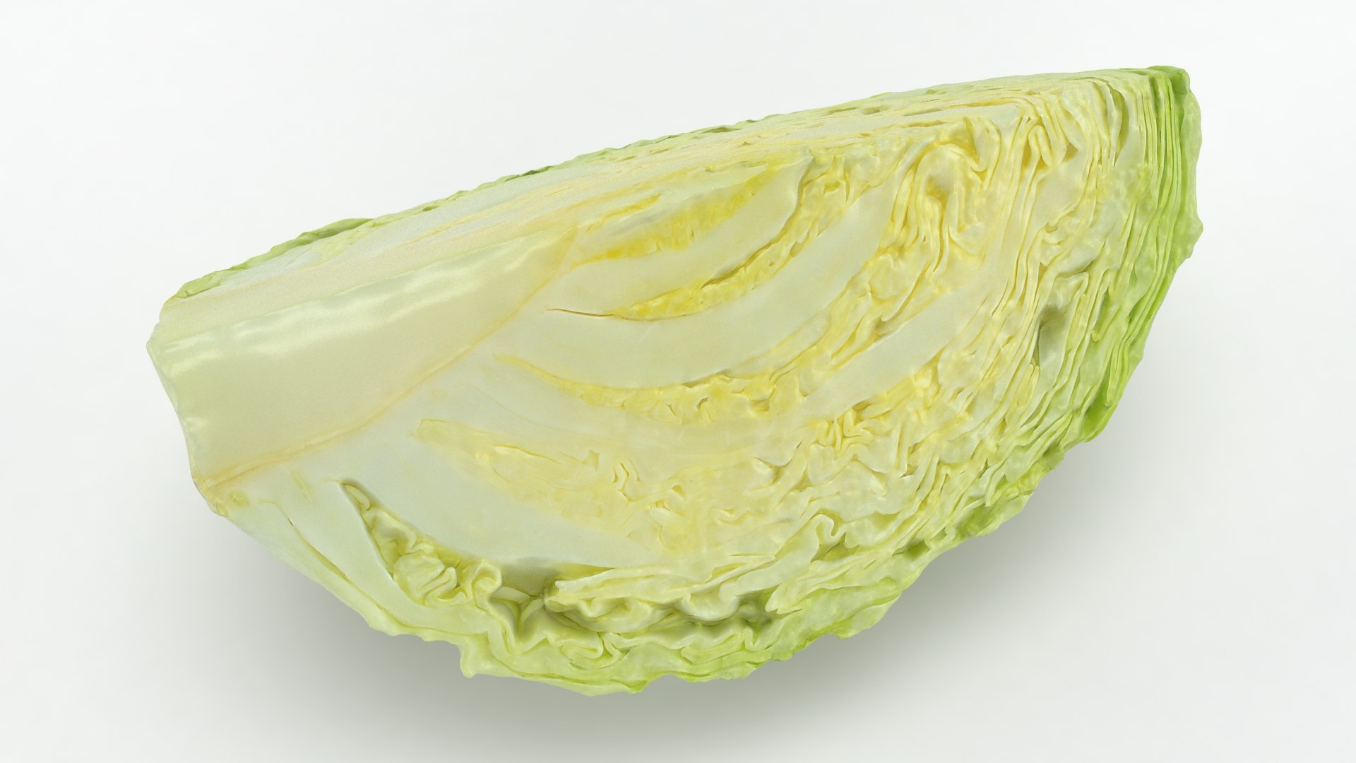 3D Cabbage Slice https://p.turbosquid.com/ts-thumb/T5/9Zo1bI/02/cabbageslice_b0012/jpg/1645870885/1920x1080/fit_q87/5ff4774a14dd8021a25973deafc0d6ef2c00ad5c/cabbageslice_b0012.jpg