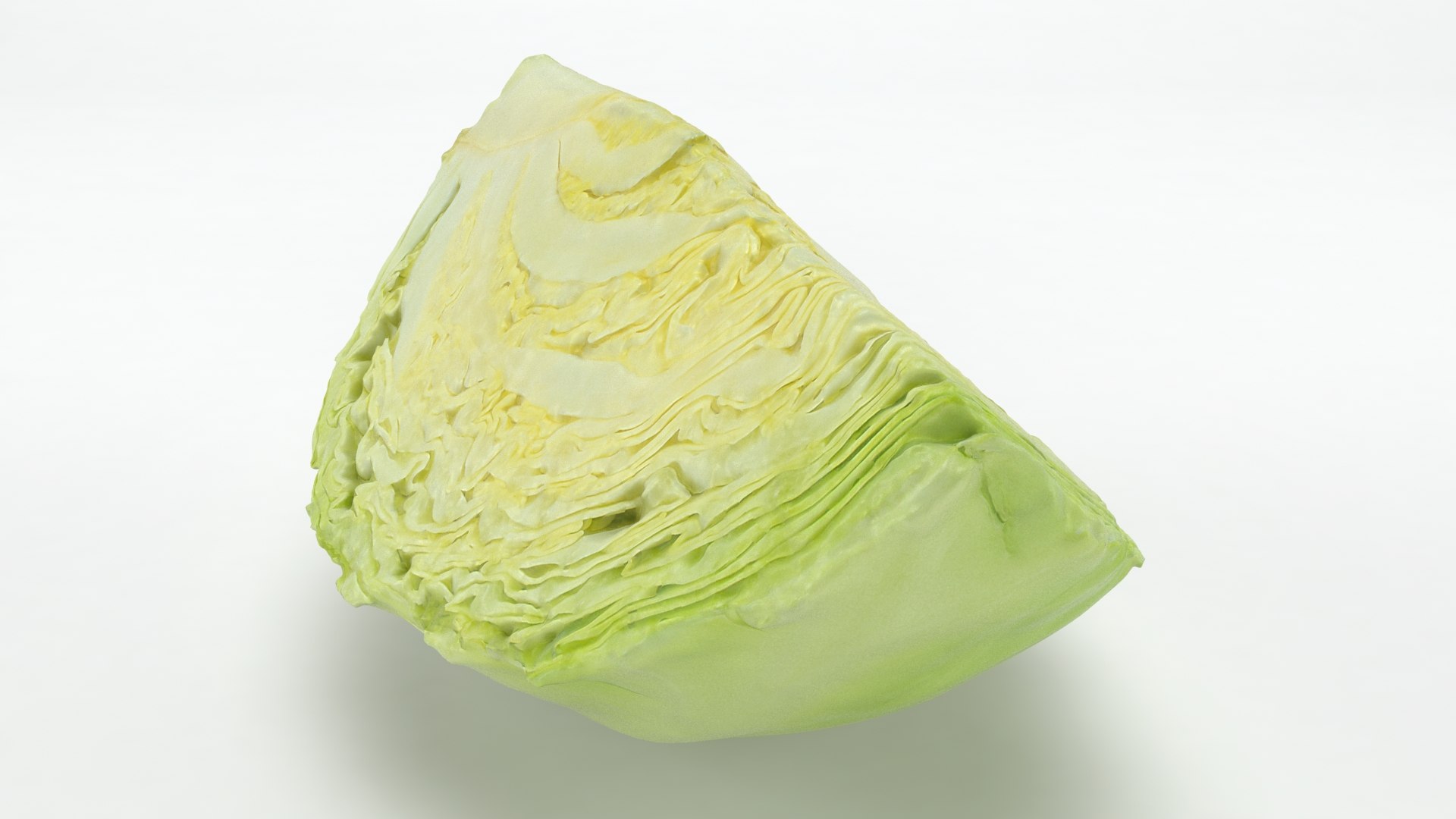 3D Cabbage Slice https://p.turbosquid.com/ts-thumb/T5/9Zo1bI/5F/cabbageslice_b0004/jpg/1645870873/1920x1080/fit_q87/2d1a729bda991a0c169eb61b8ec6a282206b617a/cabbageslice_b0004.jpg
