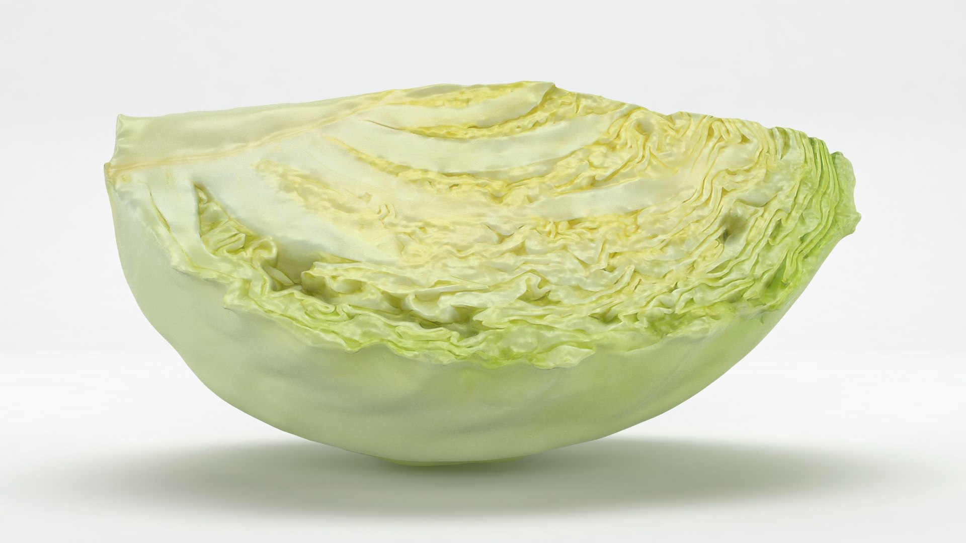 3D Cabbage Slice https://p.turbosquid.com/ts-thumb/T5/9Zo1bI/61/cabbageslice_b0010/jpg/1645870883/1920x1080/fit_q87/982801ca348b4a986d0f658bba6006170afaa7c2/cabbageslice_b0010.jpg