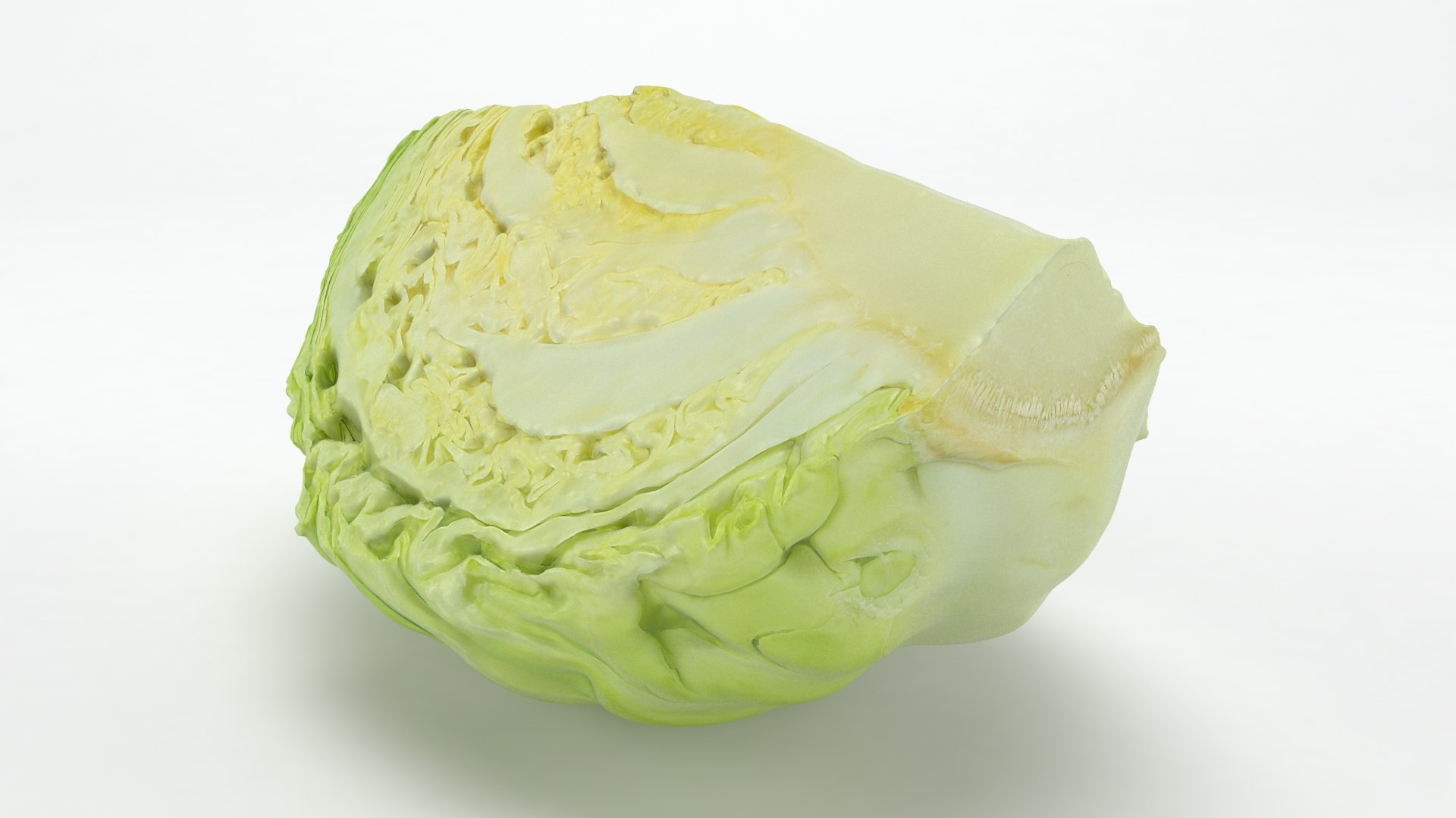 3D Cabbage Slice https://p.turbosquid.com/ts-thumb/T5/9Zo1bI/6q/cabbageslice_b0006/jpg/1645870875/1920x1080/fit_q87/2fd5fe236d1d88f7f6bf7efbcbe2d6641bd6753f/cabbageslice_b0006.jpg