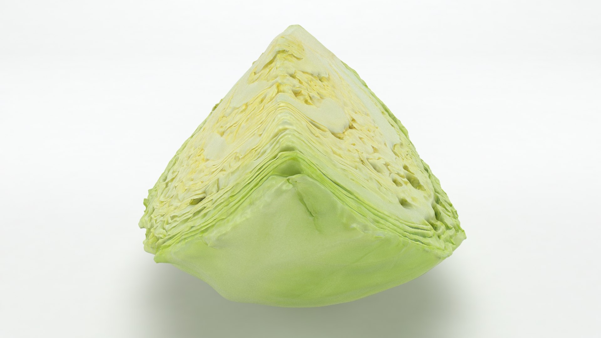 3D Cabbage Slice https://p.turbosquid.com/ts-thumb/T5/9Zo1bI/E8/cabbageslice_b0014/jpg/1645870891/1920x1080/fit_q87/8a1f2229d99f3cafb8cfe322041935c1348343d1/cabbageslice_b0014.jpg