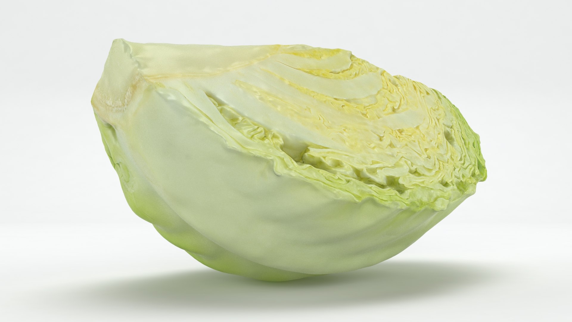 3D Cabbage Slice https://p.turbosquid.com/ts-thumb/T5/9Zo1bI/Jr/cabbageslice_b0008/jpg/1645870882/1920x1080/fit_q87/15e8050641771b4216e5398e8d376331aed9a8e5/cabbageslice_b0008.jpg