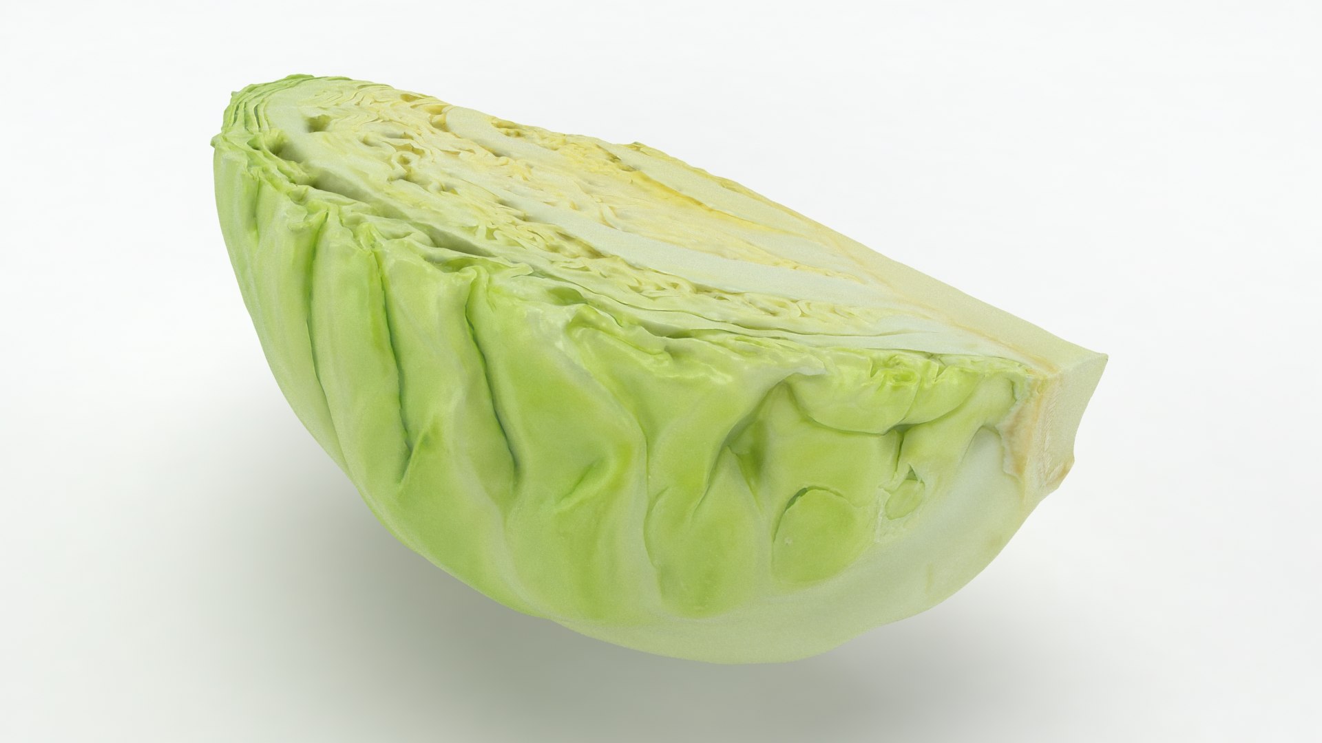 3D Cabbage Slice https://p.turbosquid.com/ts-thumb/T5/9Zo1bI/Zp/cabbageslice_b0018/jpg/1645870898/1920x1080/fit_q87/40a73ac9b1468e98cbed835ccc5eec1fae1273fa/cabbageslice_b0018.jpg