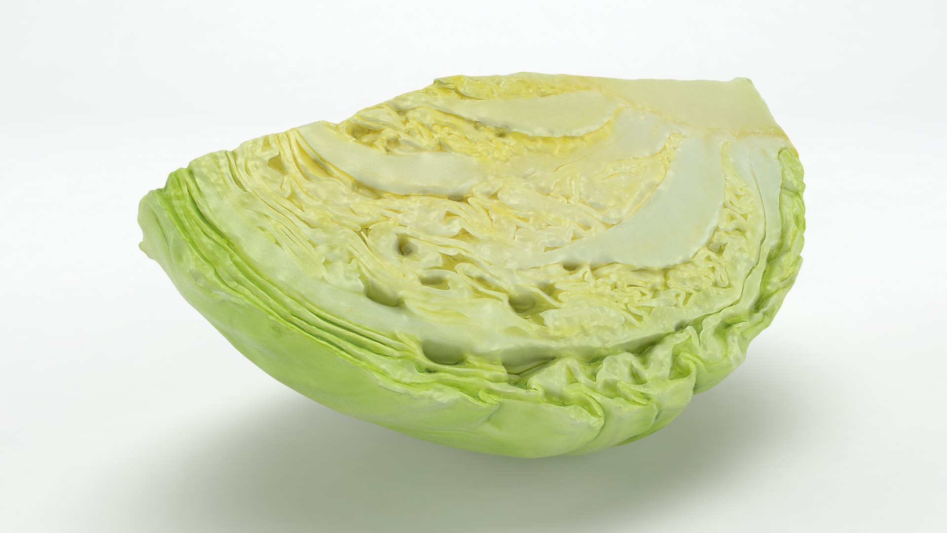 3D Cabbage Slice https://p.turbosquid.com/ts-thumb/T5/9Zo1bI/ma/cabbageslice_b0000/jpg/1645870874/1920x1080/fit_q87/9c777895a98895fd274e64665d21a75d29cfe14c/cabbageslice_b0000.jpg